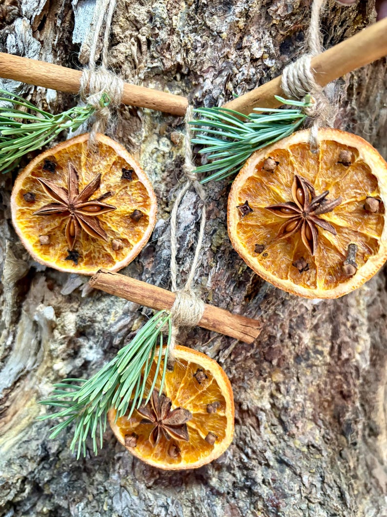 May include: Dried orange slices, star anise, and cloves are arranged with cinnamon sticks and twine for a rustic holiday decoration. Green pine needles add a touch of color. The natural elements create a warm, inviting aesthetic.