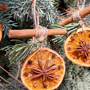 May include: Close-up of Christmas ornaments. Dried orange slices with star anise and cloves are suspended from twine. Cinnamon sticks are used as hangers. The ornaments are displayed on a green pine tree branch.