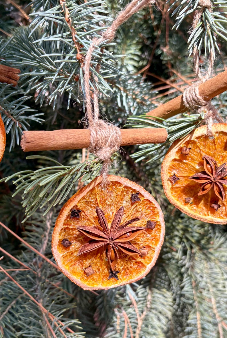 May include: Close-up of Christmas ornaments. Dried orange slices with star anise and cloves are suspended from twine. Cinnamon sticks are used as hangers. The ornaments are displayed on a green pine tree branch.
