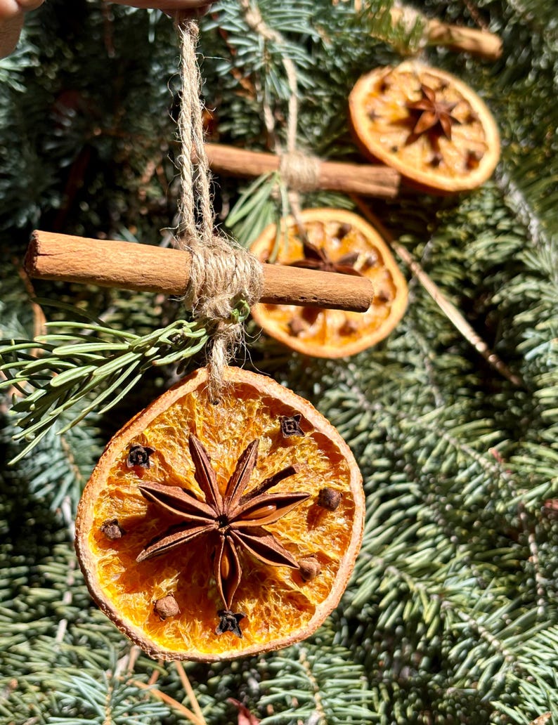 May include: Close-up of handmade Christmas ornaments. Each ornament features a dried orange slice adorned with star anise and cloves, suspended by twine. Cinnamon sticks are also incorporated into the design, adding a rustic touch. The ornaments hang against a backdrop of evergreen branches.