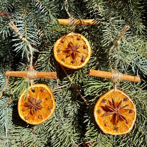 May include: Three dried orange slice ornaments with star anise and cloves, suspended by twine and cinnamon sticks, against a backdrop of evergreen branches. These rustic, natural decorations are perfect for holiday decor.