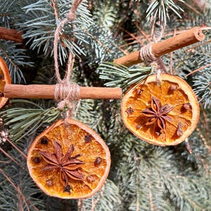 May include: Close-up of Christmas ornaments made from dried orange slices, star anise, and cloves, suspended from cinnamon sticks with twine. The ornaments hang against a backdrop of blue-green evergreen branches, creating a festive holiday scene.