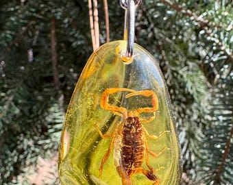 Scorpion Amber Keychain, Celtic Amber Amulet, Fossilized Scorpion in Amber, Scorpion Encased Amber Pendant, Amber Pendant with Scorpion