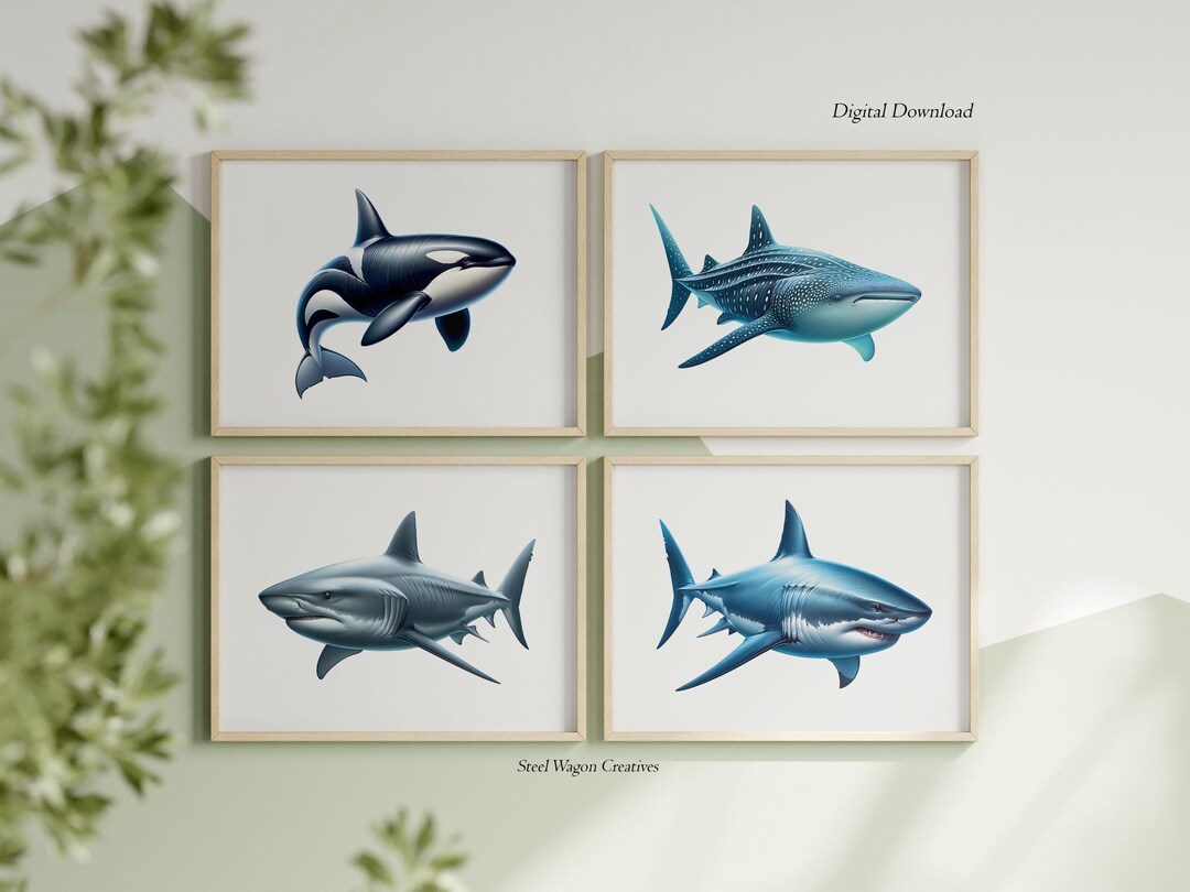 Orca Wall Art Prints for Boys Room Decor for Kids Room - Shark Prints ...