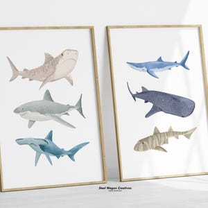 Shark Nursery Art, Whale Shark Print, Hammerhead Shark, Great White Shark, Sea Life Posters, Fisherman Aesthetic, Ocean Animal Kids Room