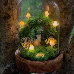 May include: A glass cloche with a wooden base contains a miniature forest scene with a small cat figurine, moss, and tiny mushrooms with glowing lights.