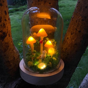 Orange Mushroom Lamp Cute Cat and Mushroom Night Light Nursery Crystal Lights Ladybug Fairy Forest Night Lamp Home Desk Decor Birthday Gifts