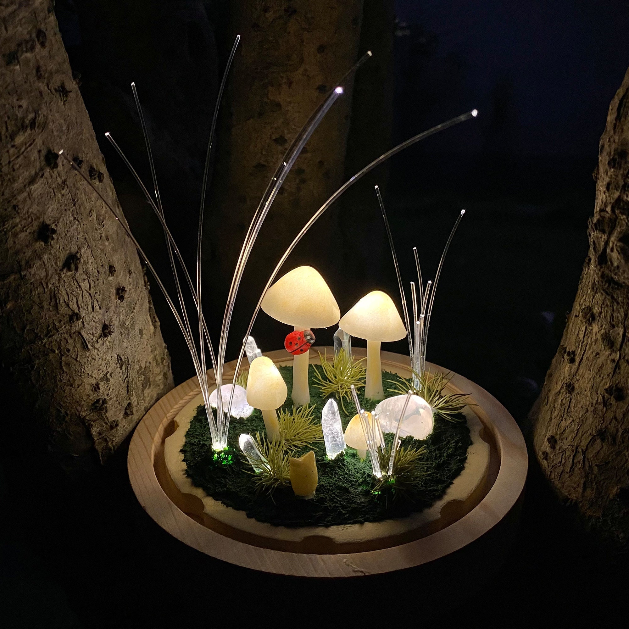 Magic Mushroom Night Light, Cute Mushroom Lamp With Crystal Light ...