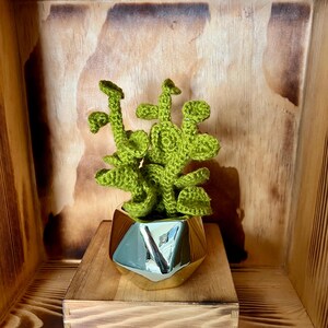 Crochet Potted Succulent Mini