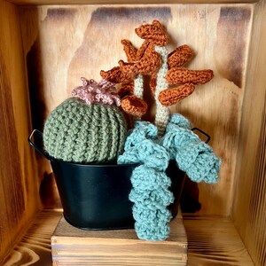 Crochet Potted Succulent Assortment