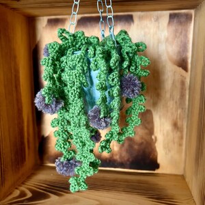 Crochet Hanging Plant