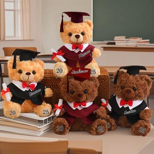 Personalized Graduation Bear 2025, Graduation Bear with Name, Plush Bear with Mortarboard,Gift for Graduate, College Graduation Gift