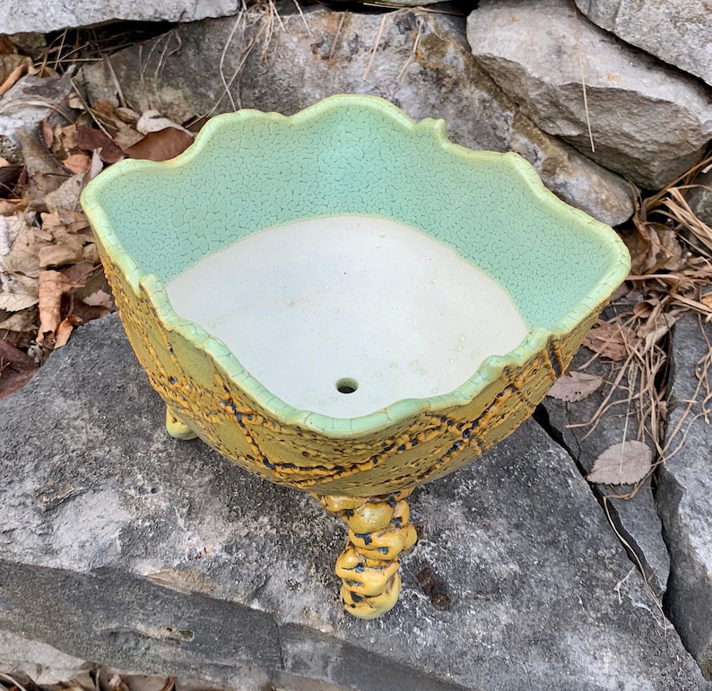 Ceramic plant pot or bonsai tray in golden yellow black