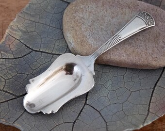 Cuchara de azúcar antigua de plata bañada de la década de 1910: Utensilio de cocina con sello de autenticidad y decoración floral Art Nouveau.