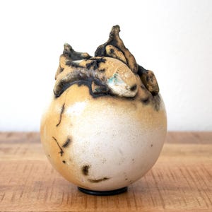 Może przedstawiać: Ręcznie wykonany ceramiczny wazon o zaokrąglonym korpusie i teksturowanym, organicznym wierzchu. Wazon ma gradient kolorów, przechodzący od kremowobiałej podstawy do jasnobrązowej i ciemnobrązowej góry. Wazon stoi na czarnej podstawie.