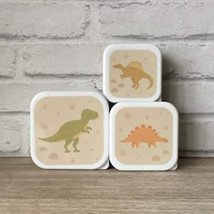Op de afbeelding: Drie vierkante lunchboxen met dinosaurussenillustraties. De bovenste doos heeft een bruine dinosaurus met een franje aan zijn nek. De middelste doos heeft een groene dinosaurus met een korte nek. De onderste doos heeft een oranje dinosaurus met een stekelige rug.