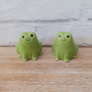 Frog Salt & Pepper Pots Condiment Set Salt and Pepper Pot Shaker Shakers Thank You Gift Present Mother&#39;s Day Birthday Pond Life