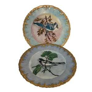 Set of 2 CBH Germany 6” Porcelain Hand Painted Bird Plates with Gold Trim