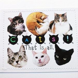 Crazy cat lover card. Cats. That is all. image 1