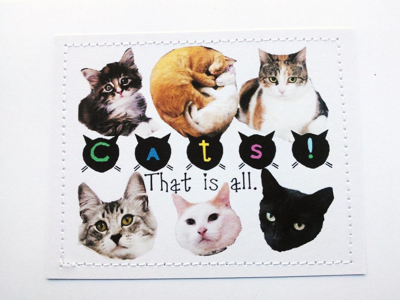 Crazy cat lover card. Cats. That is all. image 1