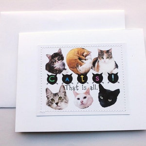 Crazy cat lover card. Cats. That is all. image 2