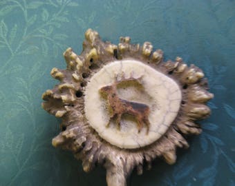 elk horn belt buckle