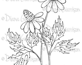 Coneflowers Digi Digital Stamp