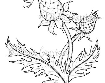 Thistle Digi Digital Stamp