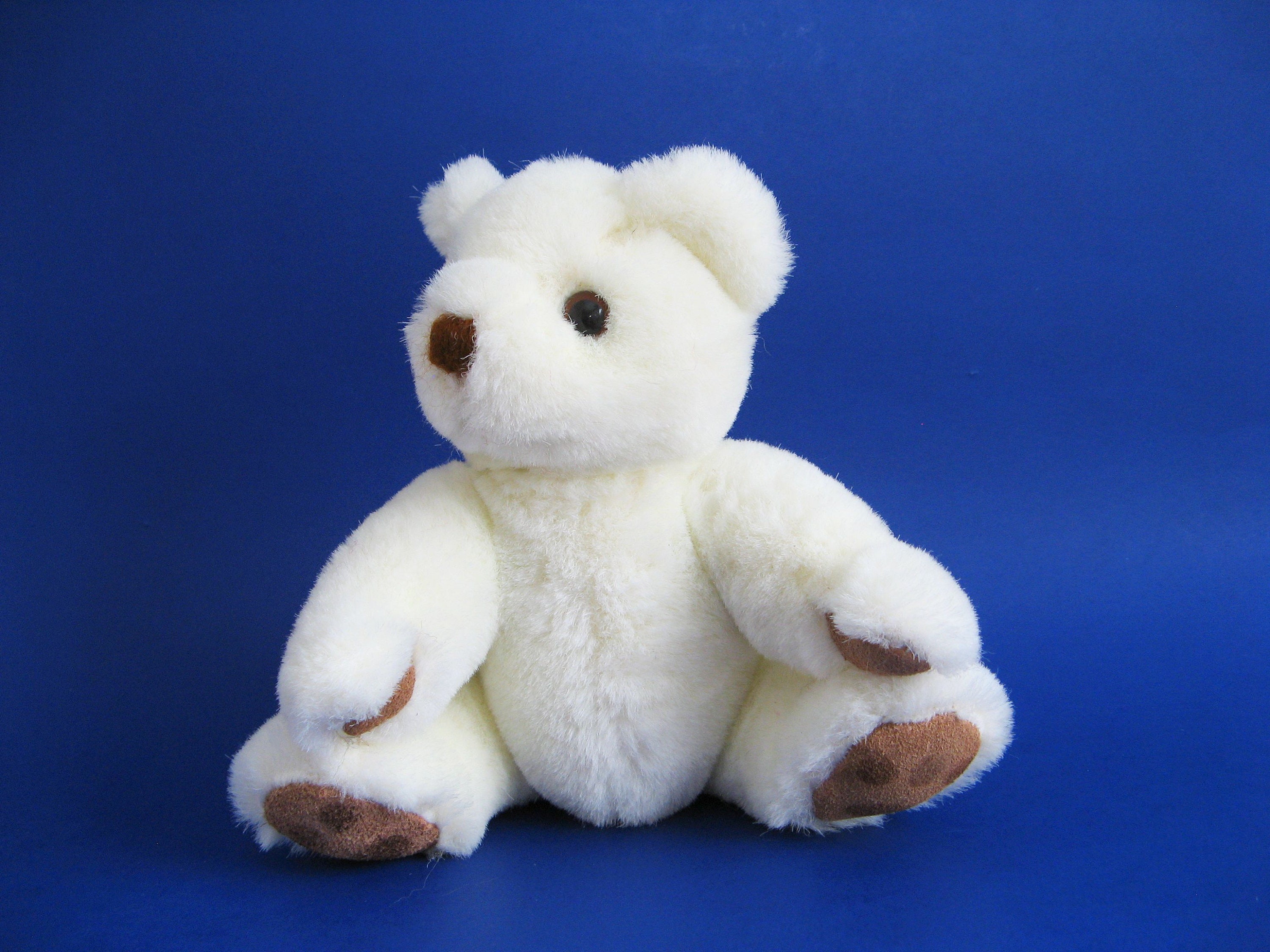 small white teddy bear