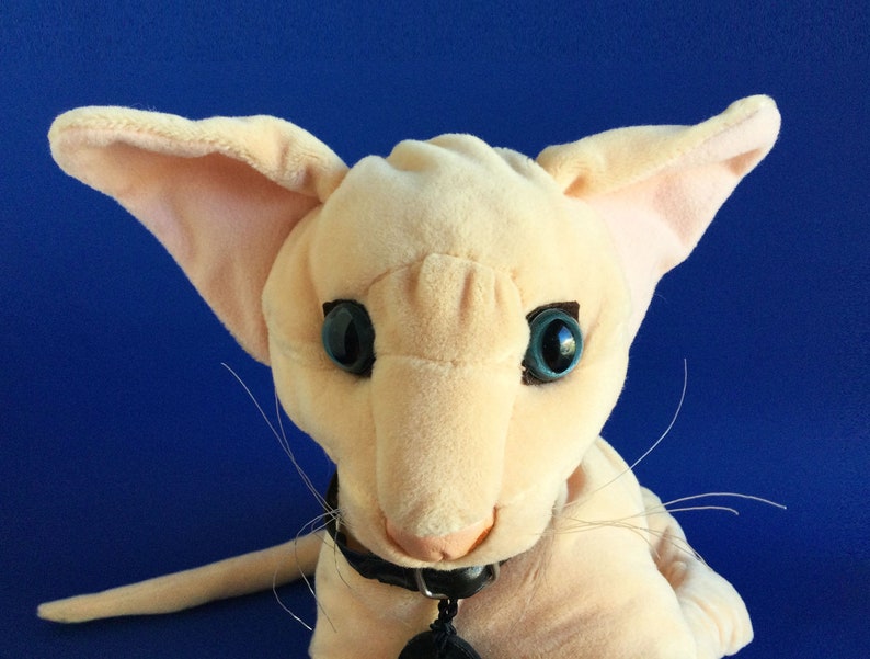 weighted teddy for adults