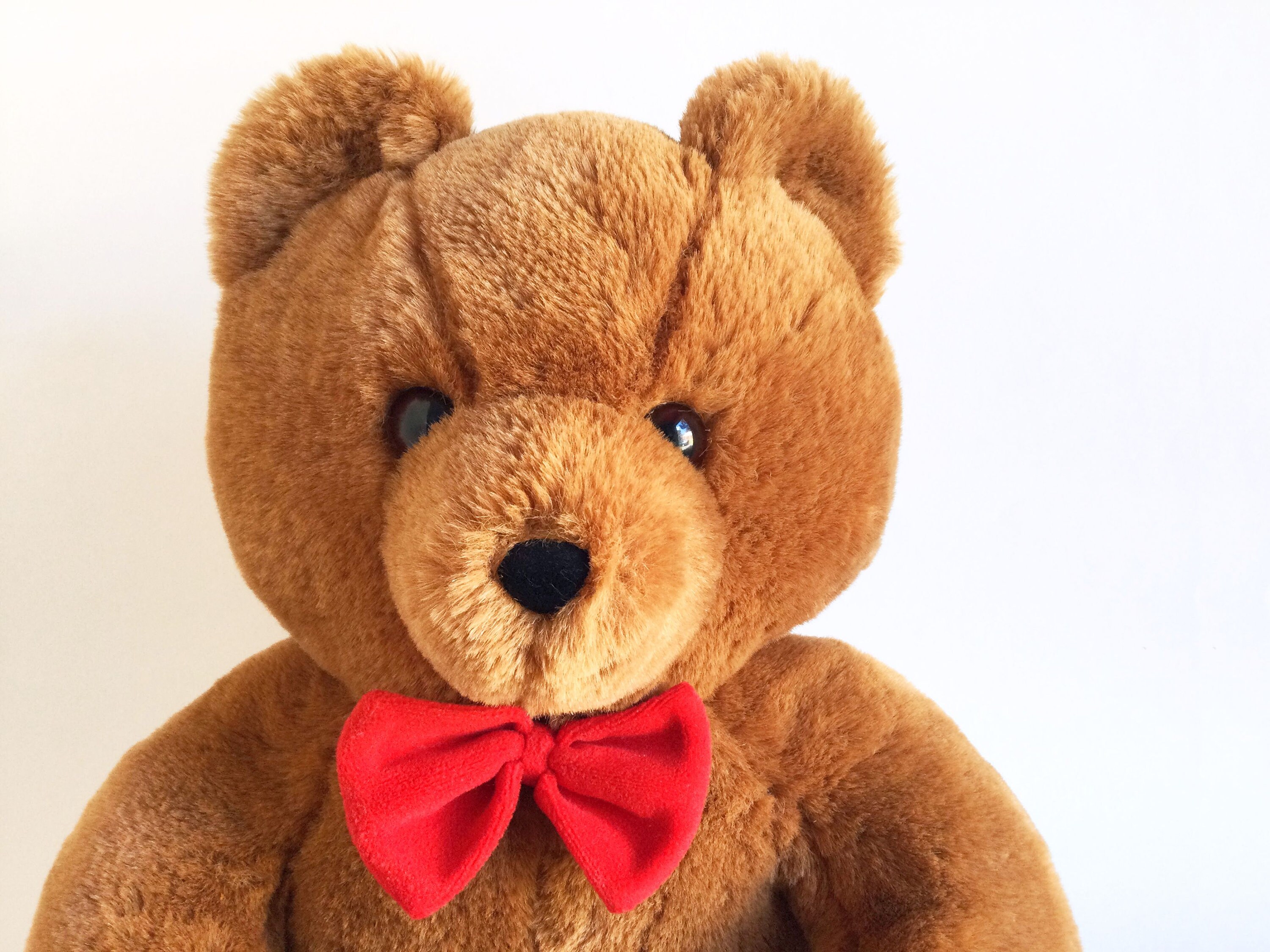 the story behind the teddy bear