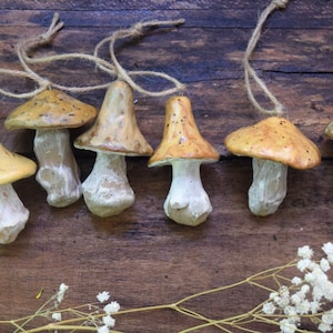 May include: A set of eight ceramic mushroom ornaments with brown and white speckled caps and stems. The ornaments are strung with twine and ready to hang.