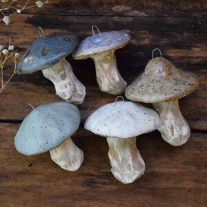 May include: Five ceramic mushroom ornaments in various shades of blue and brown with white speckles. The mushrooms have a rustic, handmade look and are perfect for adding a touch of whimsy to your home decor.