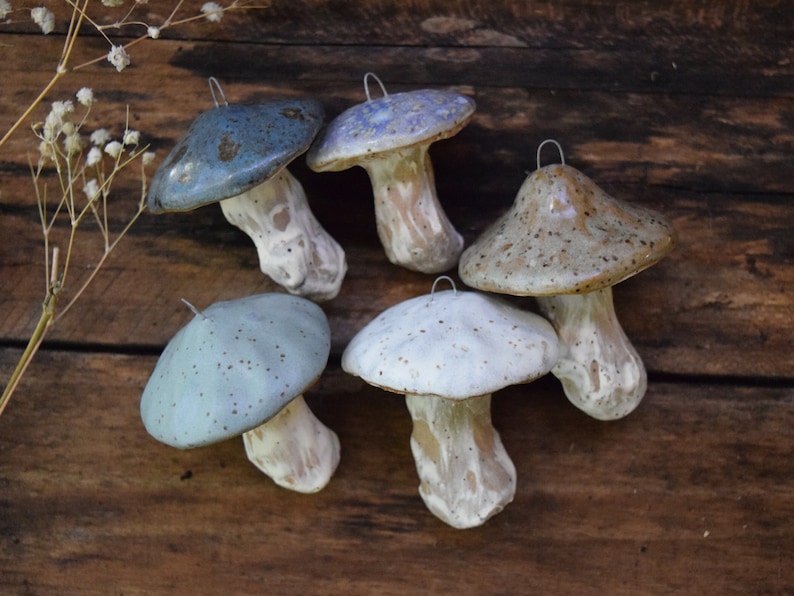 May include: Five ceramic mushroom ornaments in various shades of blue and brown with white speckles. The mushrooms have a rustic, handmade look and are perfect for adding a touch of whimsy to your home decor.