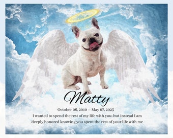 Pet Loss Memorial Portrait, Custom Digital Pet Portrait, Angel Wings and Halo, Cat Portrait, Dog Portrait, Digital print, pet gift, memorial