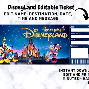 Surprise Disneyland Ticket, Disneyworld Ticket, Editable Ticket, Surprise Reveal Ticket Gift, Instant Download, Theme Park ticke image 2