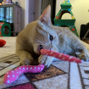 cat toy-catnip snake-handmade cat toy-catnip toy-animal lover-cat lover gift-pet lover gift-cat snake toy-cat favorite-cat lady gift-cat mom image 5
