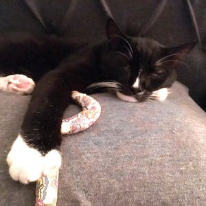 cat toy-catnip snake-handmade cat toy-cat mom pet love-kitty toy-catnip toy-animal lover-cat lover gift-cat lady-limited quantity available image 4