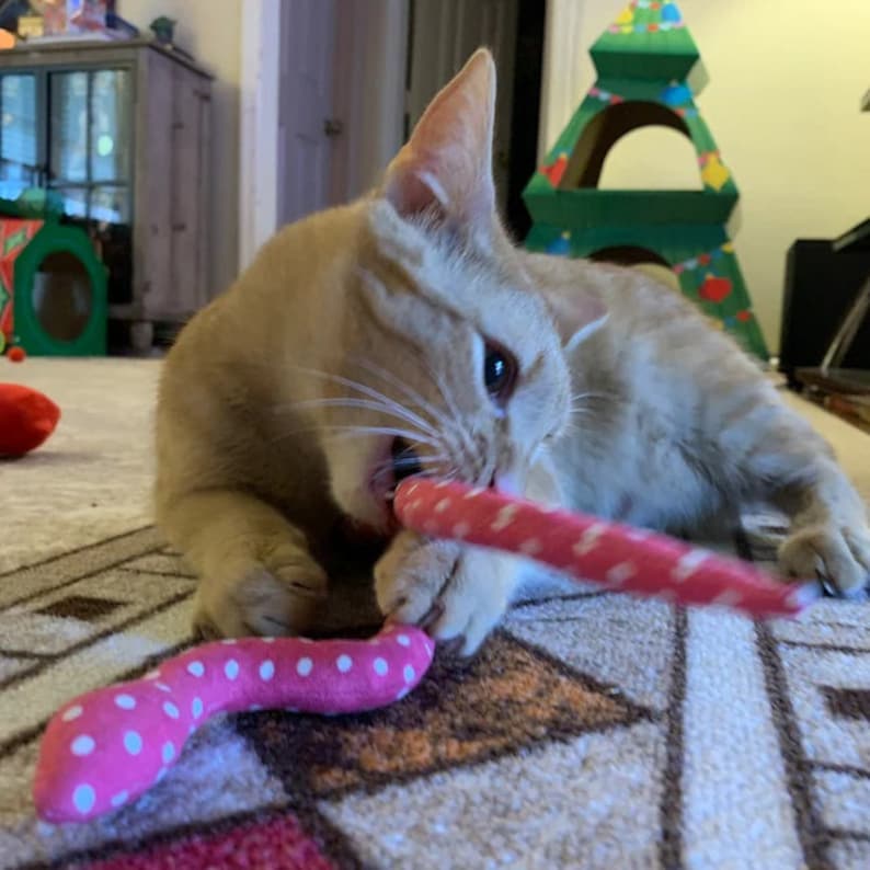 cat toy-catnip snake-handmade cat toy-cat mom pet love-kitty toy-catnip toy-animal lover-cat lover gift-cat lady-limited quantity available image 3