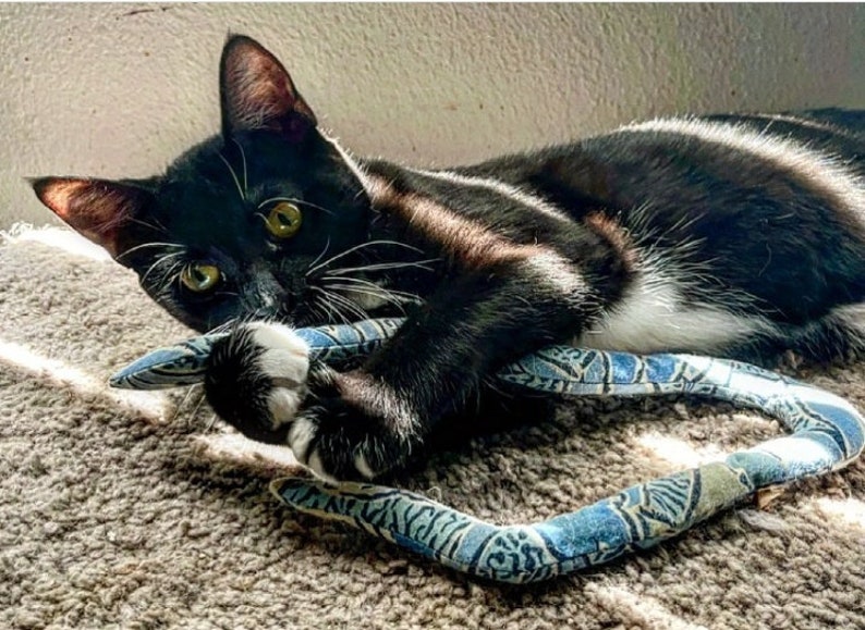 cat toy-catnip snake-handmade cat toy-catnip toy-animal lover-cat lover gift-pet lover gift-cat snake toy-cat favorite-cat lady gift-cat mom image 9