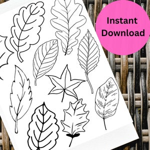 Contornos de hojas de otoño: tamaño carta A4 imprimible, para calcar y colorear, ideal para arte con acuarela o lápiz o cualquier pintura.