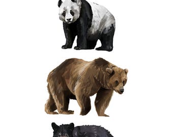 Three Bears - Print of a Panda, Grizzly, and Black Bear