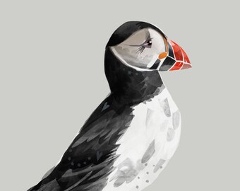 Puffin - Print