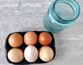 Ceramic Egg Holder, Rustic Egg Tray, Reusable Egg Rack, Food Photography Prop, Handmade Porcelain Egg Display, Antb Pottery, Ready to Ship