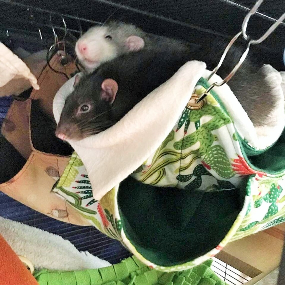 Rat Hammock Double Decker Hammock BitsOHeaven Hammock 2 Etsy