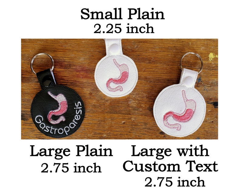 Digestive Key Ring Anatomical Stomach Keychain - With or Without Custom Text - Two Sizes ...