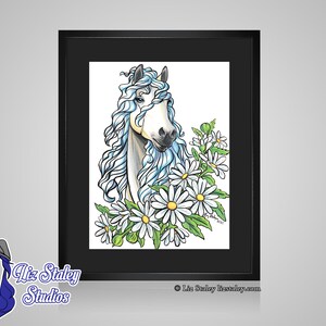 Equestrian Wall Art, April Birthstone, Diamond, White Daisy Flowers, Horse Fine Art Print, April Birthday