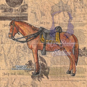 May include: A hand-drawn illustration of a brown horse with a saddle and bridle, set against a background of a vintage map of the Battle of Gettysburg, Pennsylvania, which took place on July 1-3, 1863. The map shows the location of the battlefields and the movements of the Union and Confederate armies. The illustration includes the text "July 1st, 1863", "July 3rd, 1863", and "The Battle of Gettysburg".