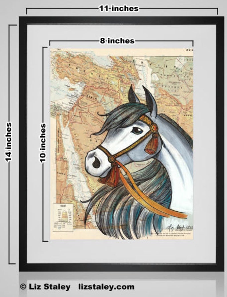 May include: A white horse with a blue and orange mane and a red and gold bridle, painted on a vintage map of Asia. The horse's head is turned to the left, and its eyes are closed. The map is in shades of brown, green, and yellow.