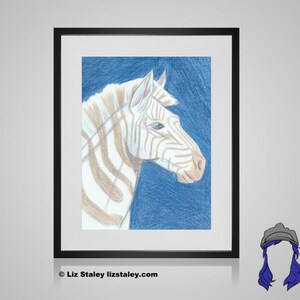 Zebra Art Print, Golden Zebra Colored Pencil Illustration, Matted Art Print